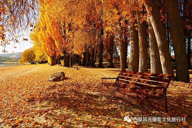 战舰世界闪击战